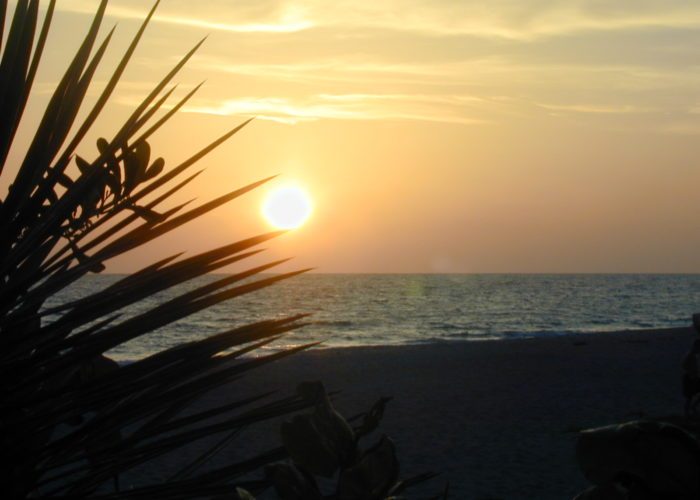 Longboat Arms beach sunset